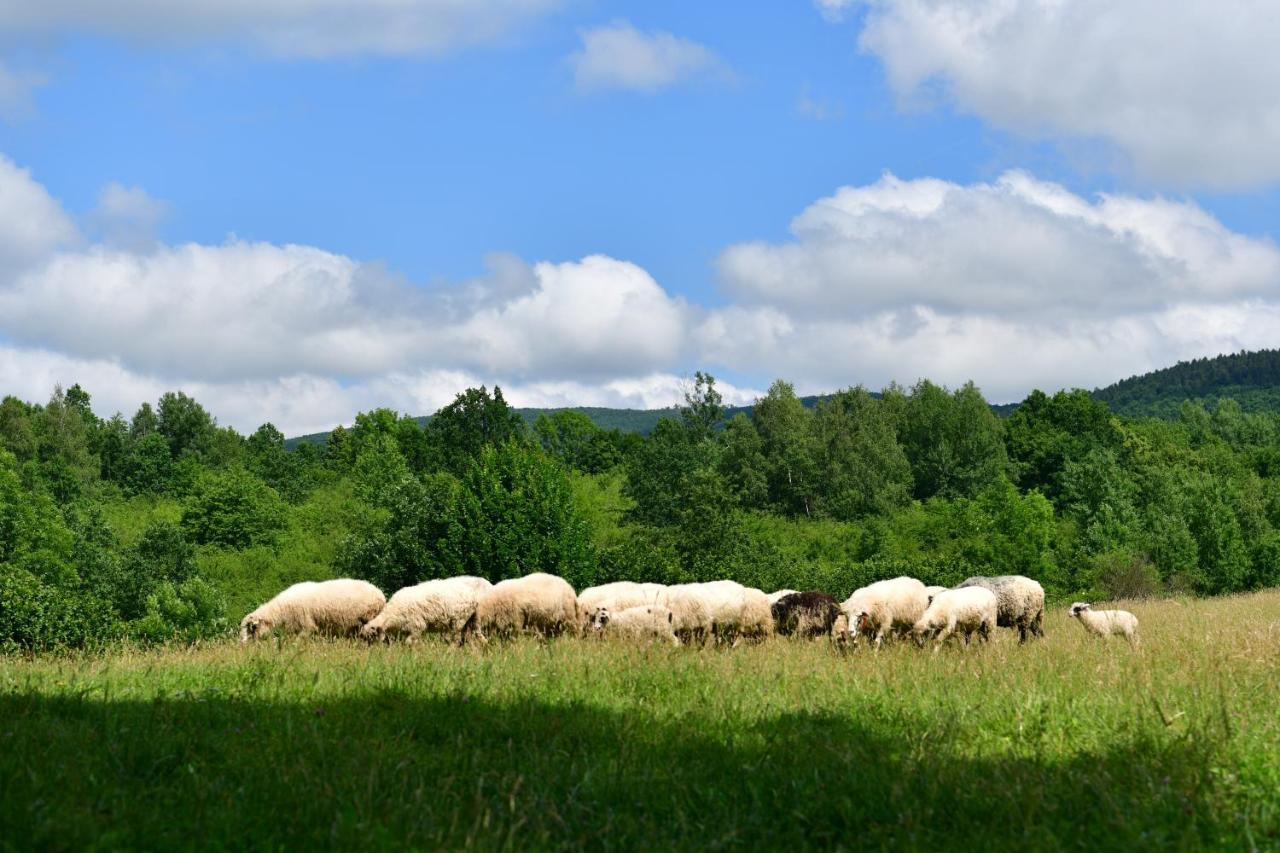 Natura Hause Rakovica Buitenkant foto