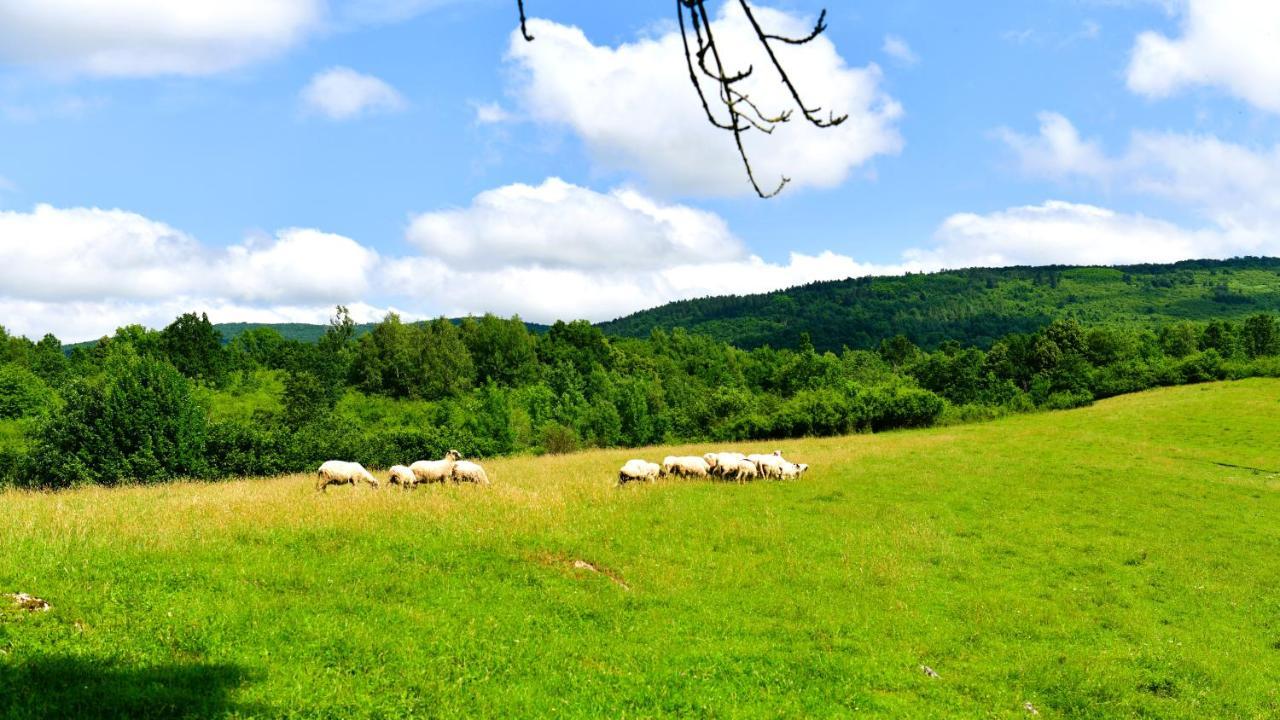 Natura Hause Rakovica Buitenkant foto