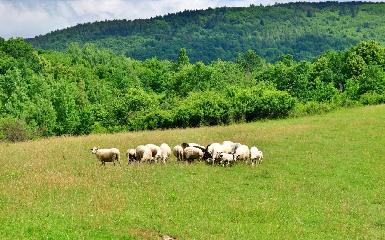 Natura Hause Rakovica Buitenkant foto