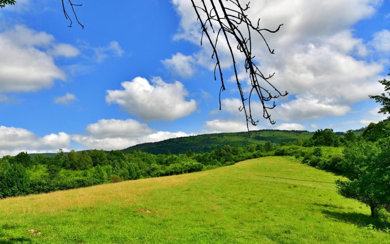 Natura Hause Rakovica Buitenkant foto