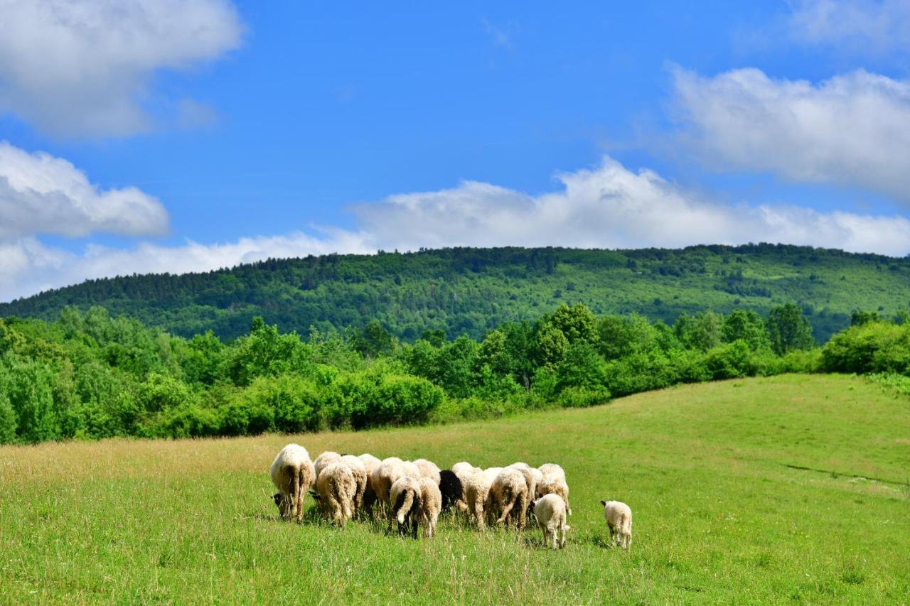 Natura Hause Rakovica Buitenkant foto
